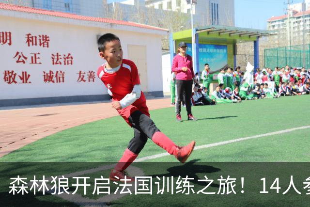 森林狼开启法国训练之旅！14人参加 华子三球牵头与戈贝尔会合